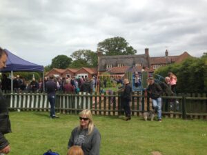 Skeyton Goat beer garden 4